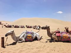 -银肯塔拉沙漠生态旅游景区