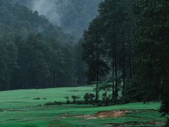 -大浪坝森林公园