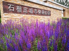 -石榴庄公园