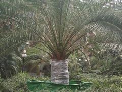 android_upload_pic-龙达温泉生态城