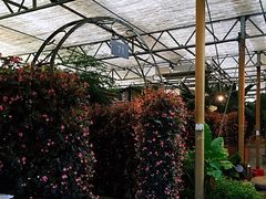 -金稼园·金平湖农家菜