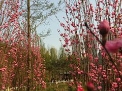 -重庆彩云湖湿地公园