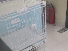 -天宠宠物医院24小时·急重症诊疗中心·全科·腔镜特色(和平分院)