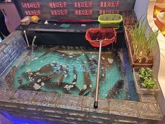 -山河屯铁锅炖鲜鹅·东北菜(开发区一店)