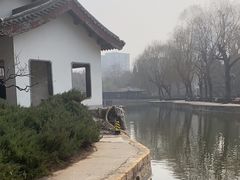 -团结湖公园