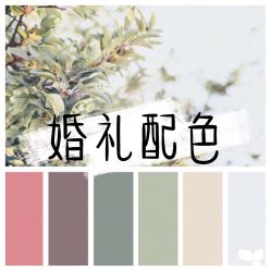 -红丝高端婚礼中心(旗舰店)