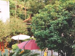 -广东温泉宾馆