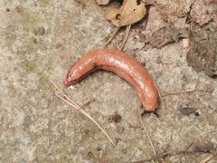 -大连金龙寺国家森林公园-售票处