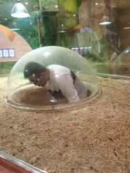 -宝燕乐园(闵行旗舰店)