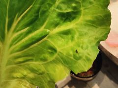 -海上明月海鲜火锅 鲜切牛肉