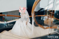 -Sunny喜铺婚礼定制·求婚策划