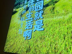-杨厨的田园饭店(长城路店)