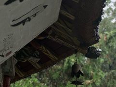-南阳卧龙岗武侯祠