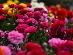 -蜜桃餐厅·伴山(湖滨商业街店)