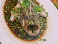 -悦哉·派对·草坪婚礼·围炉煮茶(三圣乡店)
