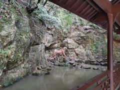 -虎跑公园