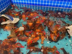 小龙虾-乔哥铭洋海鲜自助(皇城恒隆广场店)