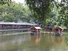 -侨美·唐荔园·40年地道粤菜