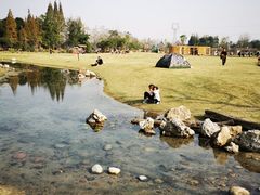 -夏河溪乡野公园