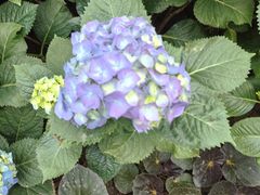 -石家庄市植物园