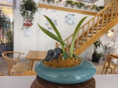 -苗祖咖啡(洛克时代中心店)