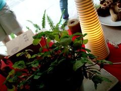 -Babycat私家御饼屋(龙头路一店)