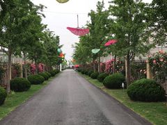 -菊园百果园
