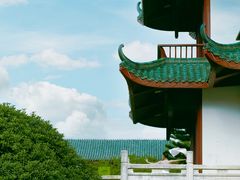 -桂湖森林公园
