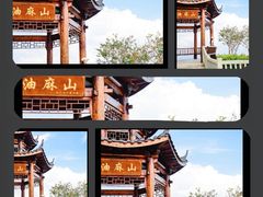 -黄埔油麻山森林公园