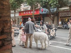 -圆宝台湾小吃(迎津街店)