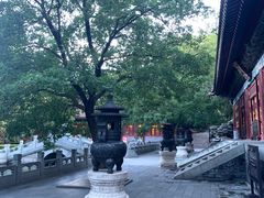 -水煮三国·川鲁江湖菜(香山店)