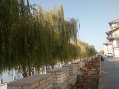 -党河风情线国家水利风景区