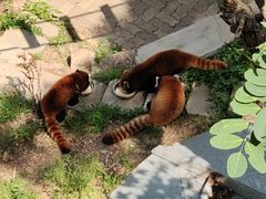 -大连森林动物园