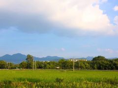-东梓关景区村庄