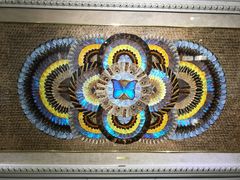 -上海昆虫博物馆