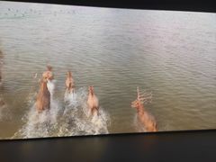 -中国湿地博物馆