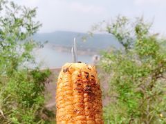 -黄河小浪底水利枢纽风景区