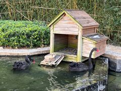 -行者书屋大堂吧 ·下午茶(南京圣和府邸酒店)