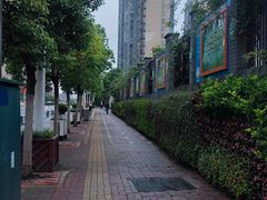 -皖北巫氏三胖地锅鸡(长淮总店)