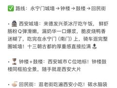 -福苗小骆驼烧烤(大唐不夜城店)