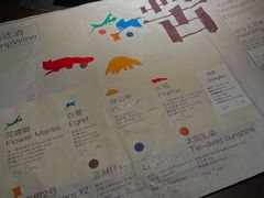 -毛辣果·酸(OHA复兴西路店)