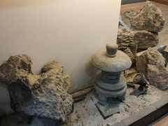 -白兔子密室(长寿路店)