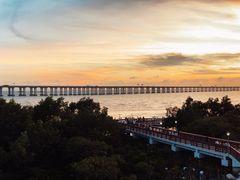 -宝安西湾红树林湿地公园