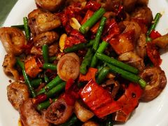 香辣肥肠-添福来墨鱼饺子 · 海鲜东北菜(大连星海·黄浦路店)