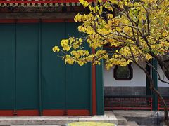 -宫事颐庭·老佛爷贵寿下午茶(颐和园店)