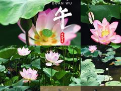 -荔湾湖公园