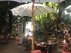 -Fern Forest Cafe