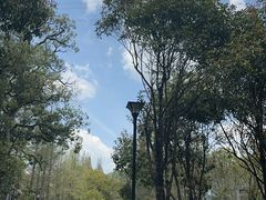 -东明山森林公园