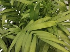 -盛世川王•幸福里(长虹店)