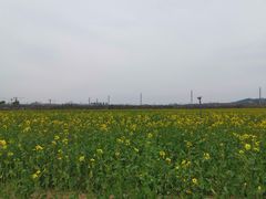 -西海岸生态观光园